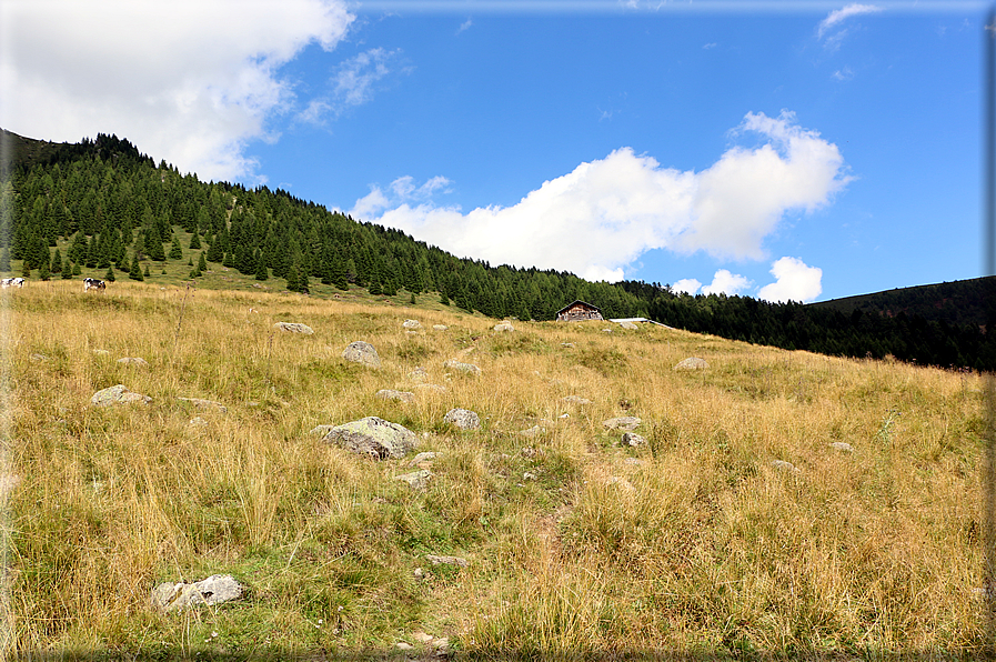 foto Valle del Montalon